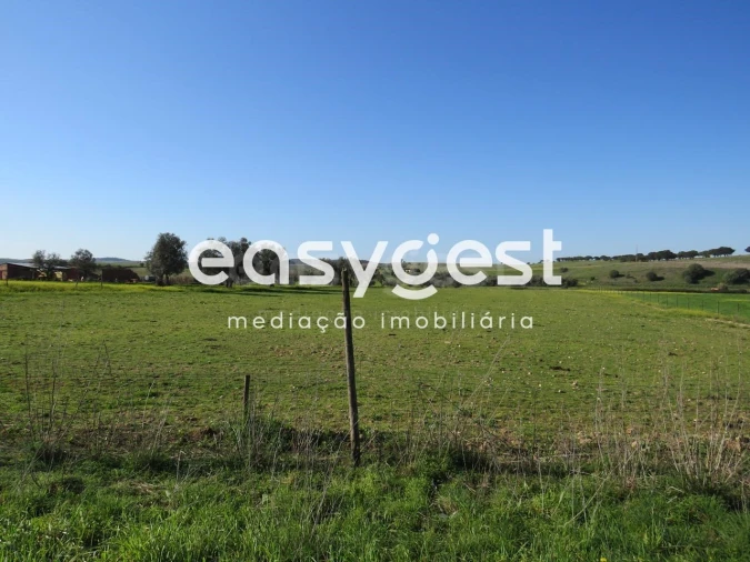 Terreno Agricola ou Rústico para Venda em Aljustrel e Rio de Moinhos Foto 7