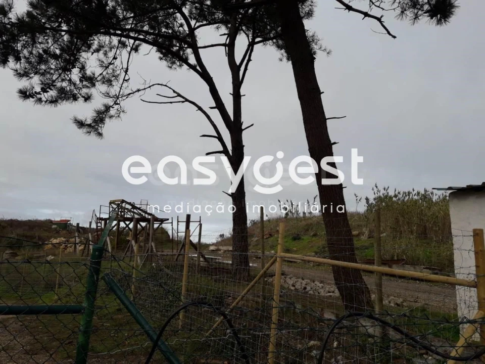 Terreno Agricola ou Rústico para Venda em Queluz e Belas Foto 3