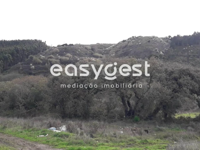 Terreno Agricola ou Rústico para Venda em Queluz e Belas Foto 2