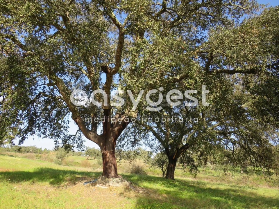 Quinta T3 para Venda em Alvalade Foto 3