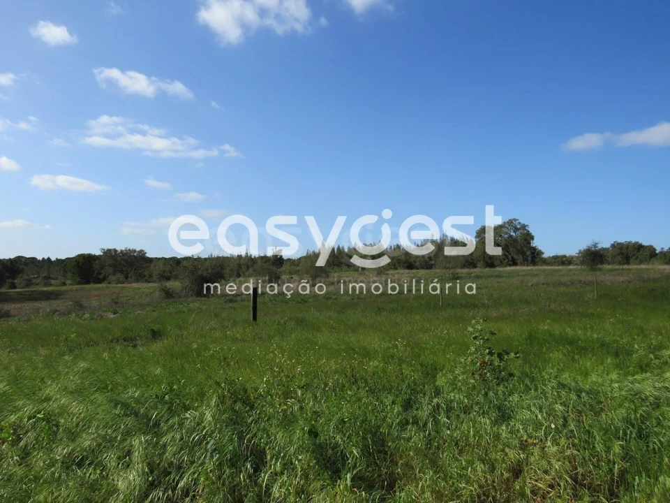 Quinta T3 para Venda em Alvalade Foto 11