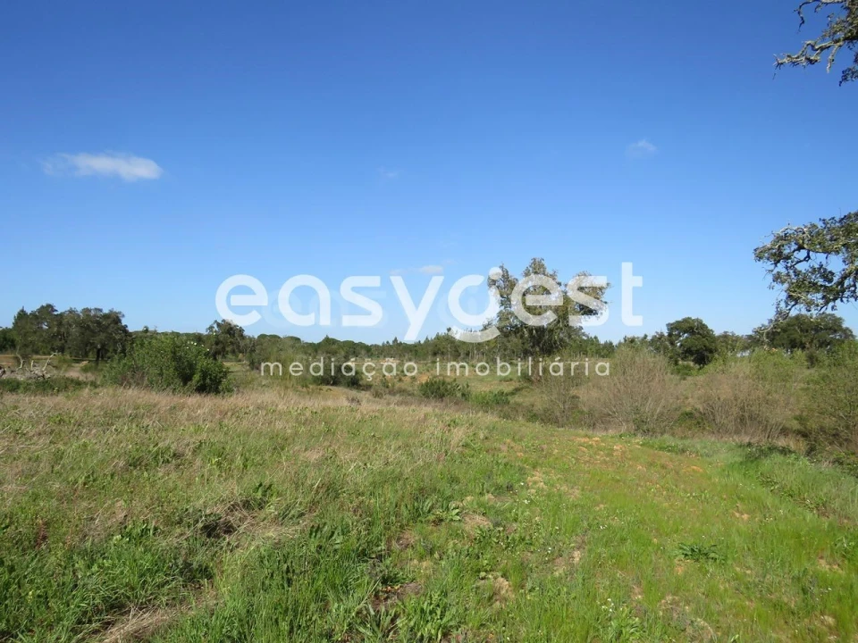 Quinta T3 para Venda em Alvalade Foto 15