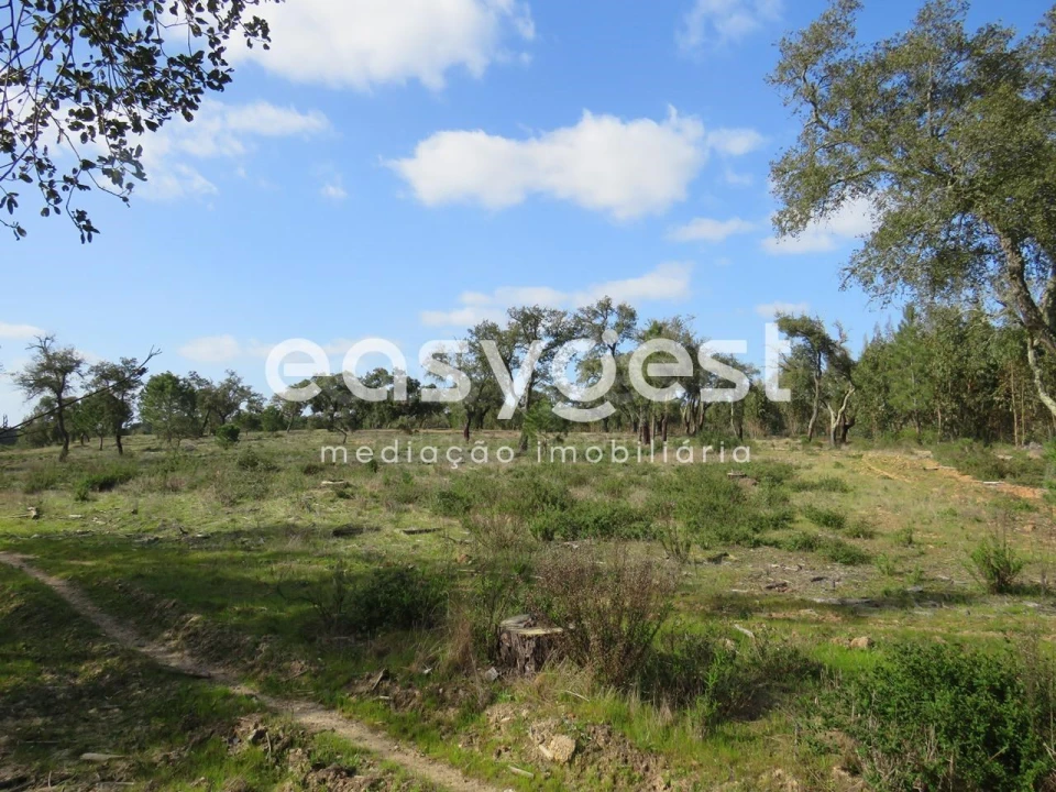 Quinta T3 para Venda em Alvalade Foto 16