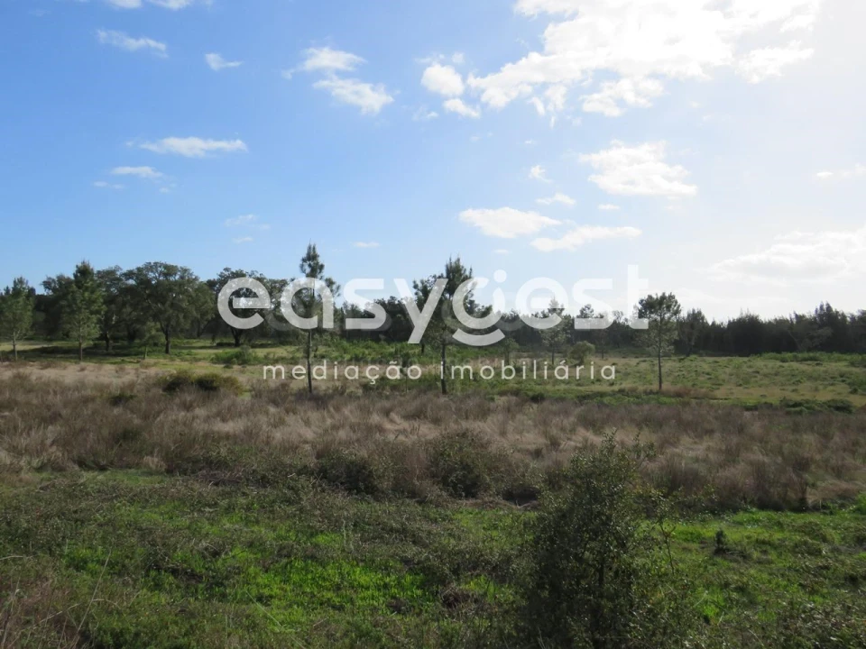 Quinta T3 para Venda em Alvalade Foto 19