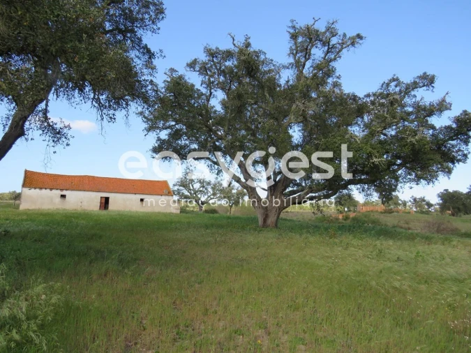 Quinta T3 para Venda em Alvalade Foto 9