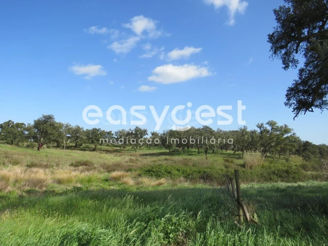 Quinta T3 para Venda em Alvalade Foto 14