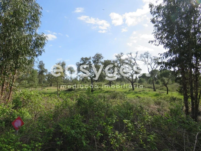 Quinta T3 para Venda em Alvalade Foto 18