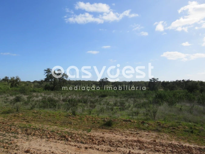 Quinta T3 para Venda em Alvalade Foto 21