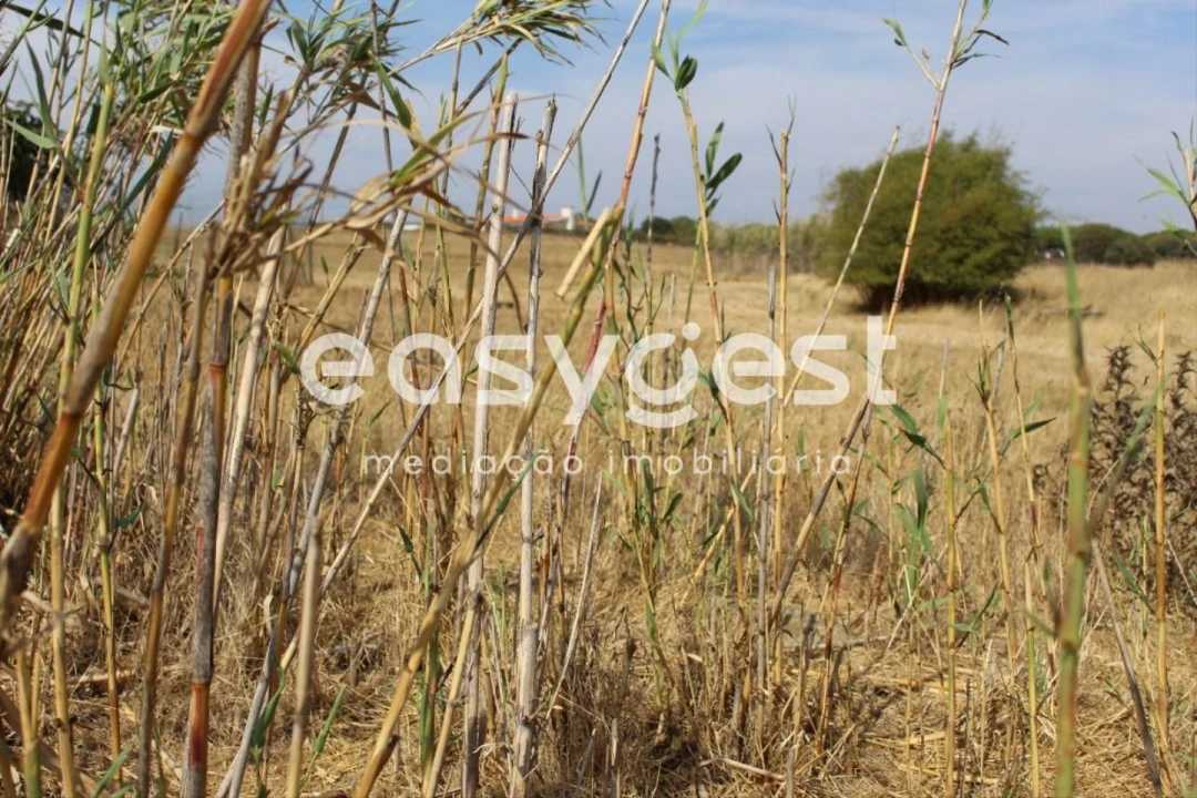 Quinta T4 para Venda em Porto Covo Foto 24