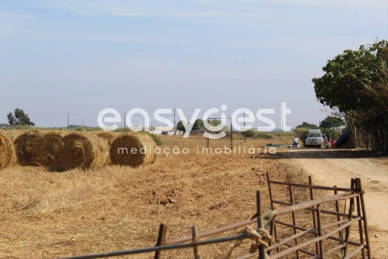 Quinta T4 para Venda em Porto Covo Foto 12