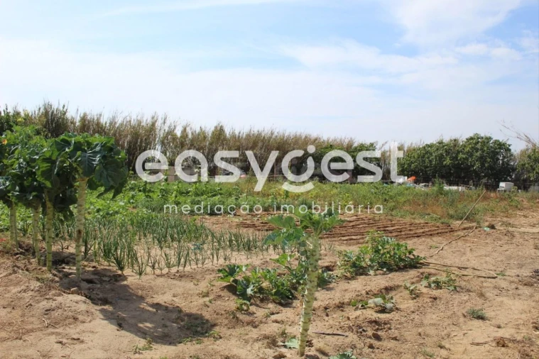 Quinta T4 para Venda em Porto Covo Foto 23