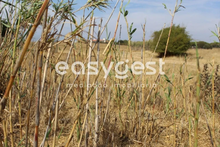 Quinta T4 para Venda em Porto Covo Foto 24