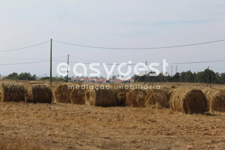 Quinta T4 para Venda em Porto Covo Foto 25