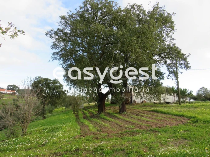 Terreno Agricola ou Rústico para Venda em São Francisco da Serra Foto 2