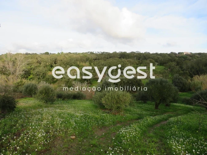 Terreno Agricola ou Rústico para Venda em São Francisco da Serra Foto 3