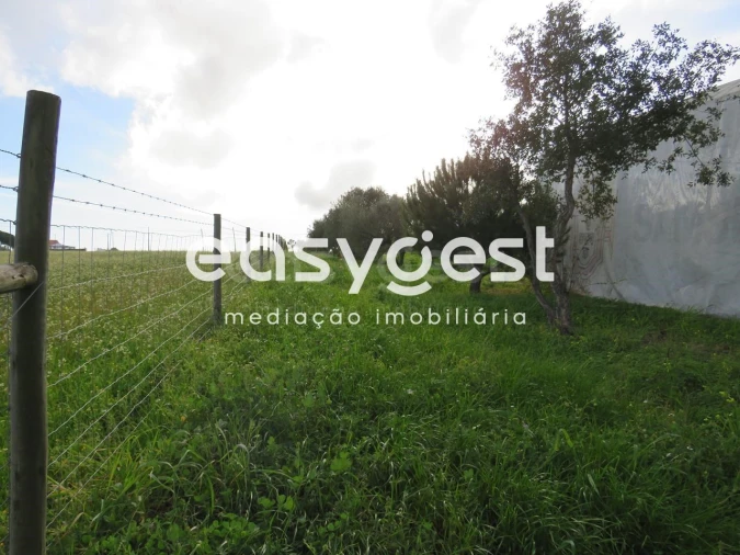 Terreno Agricola ou Rústico para Venda em São Francisco da Serra Foto 5