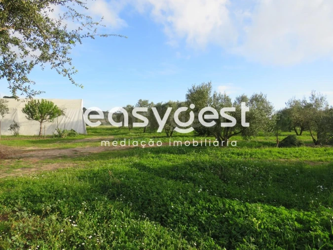Terreno Agricola ou Rústico para Venda em São Francisco da Serra Foto 10