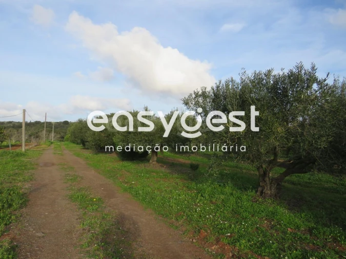 Terreno Agricola ou Rústico para Venda em São Francisco da Serra Foto 11