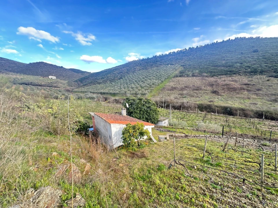 Terreno Agricola ou Rústico para Venda em Poiares Foto 1