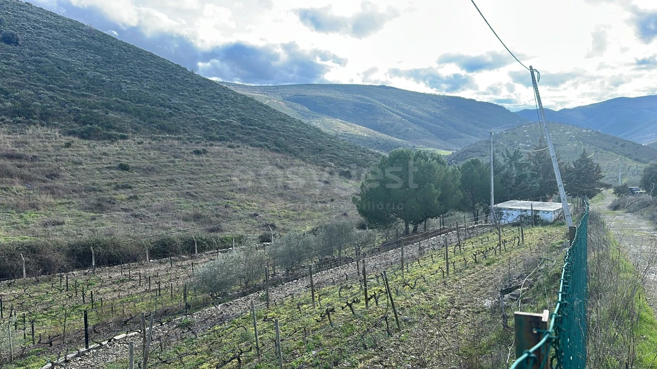 Terreno Agricola ou Rústico para Venda em Poiares Foto 3