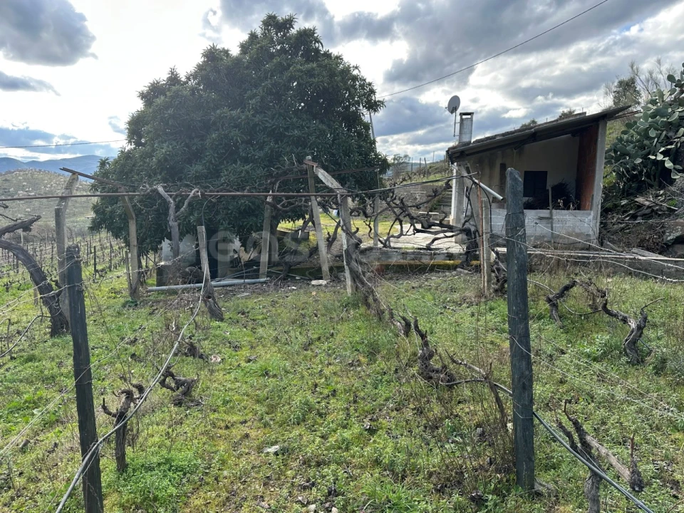 Terreno Agricola ou Rústico para Venda em Poiares Foto 5