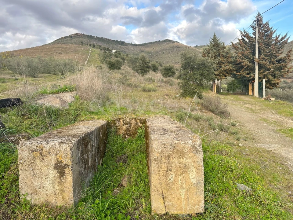 Terreno Agricola ou Rústico para Venda em Poiares Foto 9