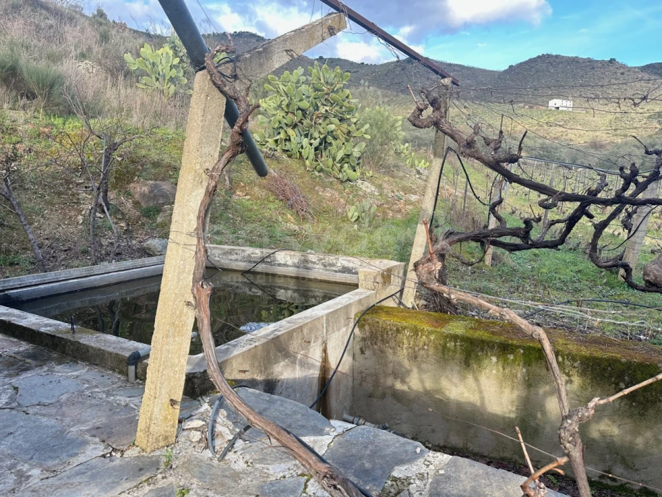 Terreno Agricola ou Rústico para Venda em Poiares Foto 12
