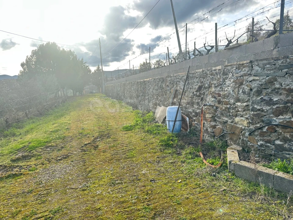 Terreno Agricola ou Rústico para Venda em Poiares Foto 15