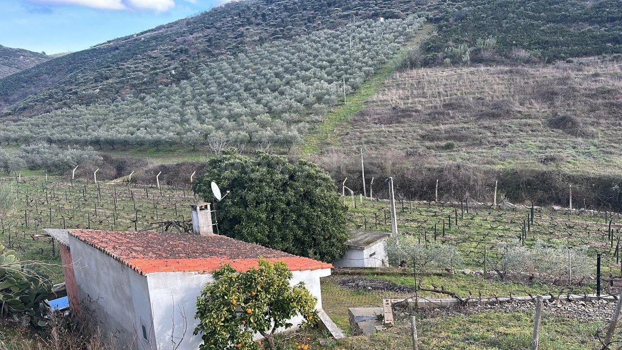Terreno Agricola ou Rústico para Venda em Poiares Foto 18