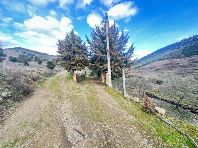 Terreno Agricola ou Rústico para Venda em Poiares Foto 6