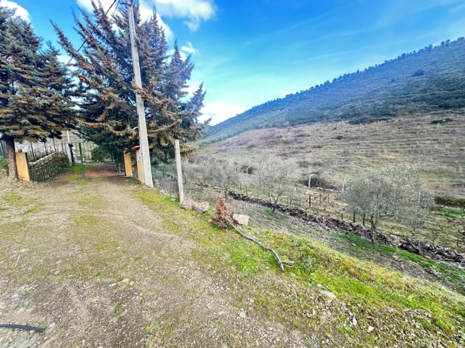 Terreno Agricola ou Rústico para Venda em Poiares Foto 7