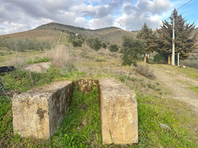 Terreno Agricola ou Rústico para Venda em Poiares Foto 9