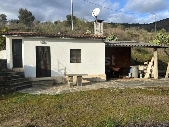 Terreno Agricola ou Rústico para Venda em Poiares Foto 11
