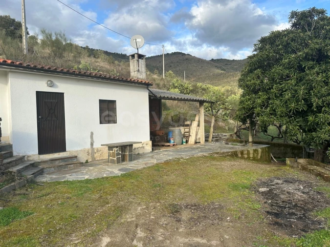 Terreno Agricola ou Rústico para Venda em Poiares Foto 13