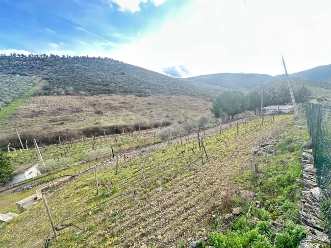 Terreno Agricola ou Rústico para Venda em Poiares Foto 14