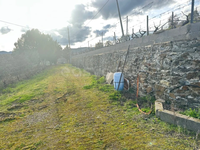 Terreno Agricola ou Rústico para Venda em Poiares Foto 15