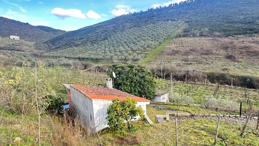 Terreno Agricola ou Rústico para Venda em Poiares