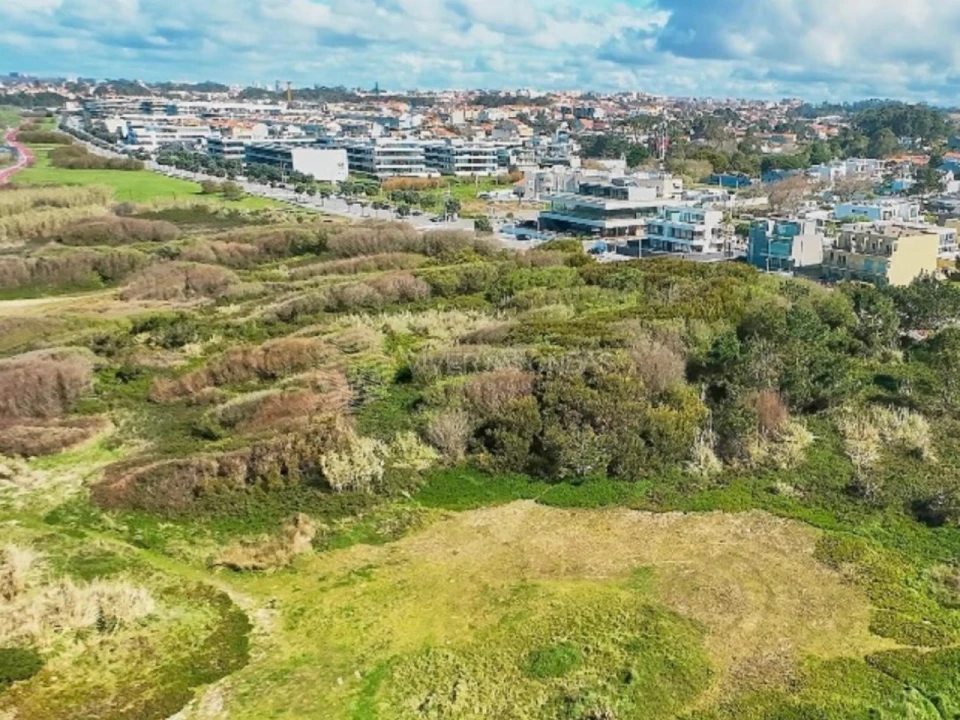 Terreno para Venda em Santa Marinha e São Pedro da Afurada Foto 7