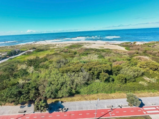 Terreno para Venda em Santa Marinha e São Pedro da Afurada Foto 6