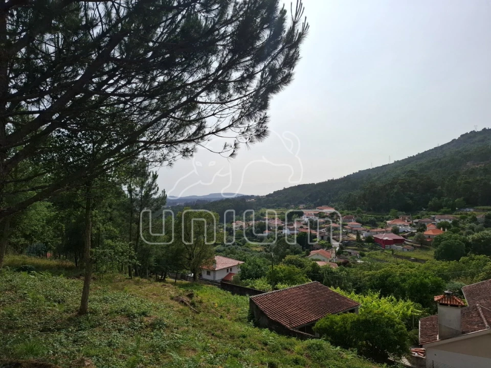 Terreno para Venda em Barroselas e Carvoeiro Foto 1