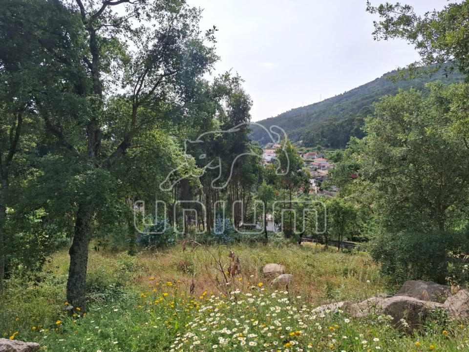 Terreno para Venda em Barroselas e Carvoeiro Foto 5