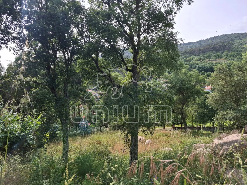 Terreno para Venda em Barroselas e Carvoeiro Foto 6
