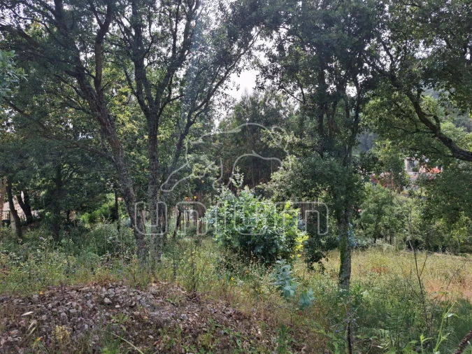 Terreno para Venda em Barroselas e Carvoeiro Foto 4