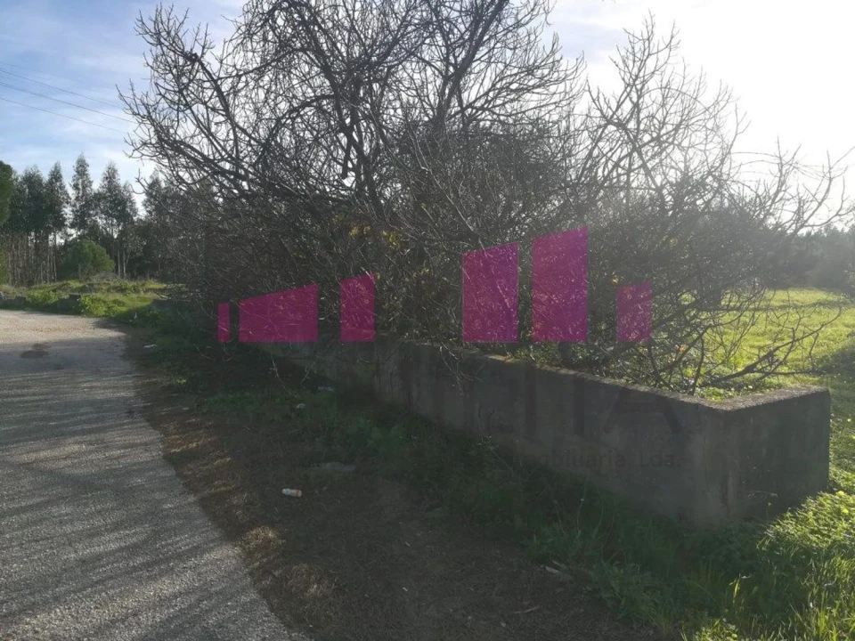 Terreno Agricola ou Rústico para Venda em Belazaima do Chão, Castanheira do Vouga e Agadão Foto 13