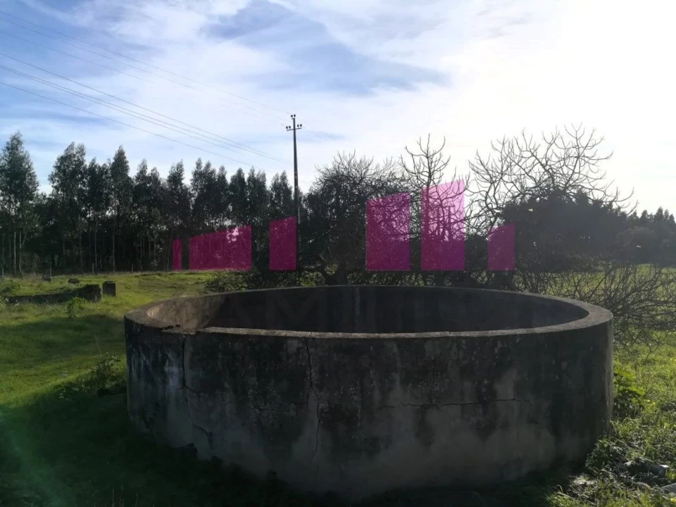 Terreno Agricola ou Rústico para Venda em Belazaima do Chão, Castanheira do Vouga e Agadão Foto 14