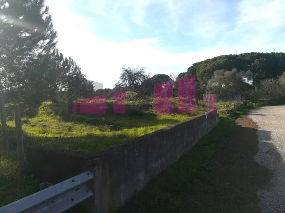 Terreno Agricola ou Rústico para Venda em Belazaima do Chão, Castanheira do Vouga e Agadão Foto 15