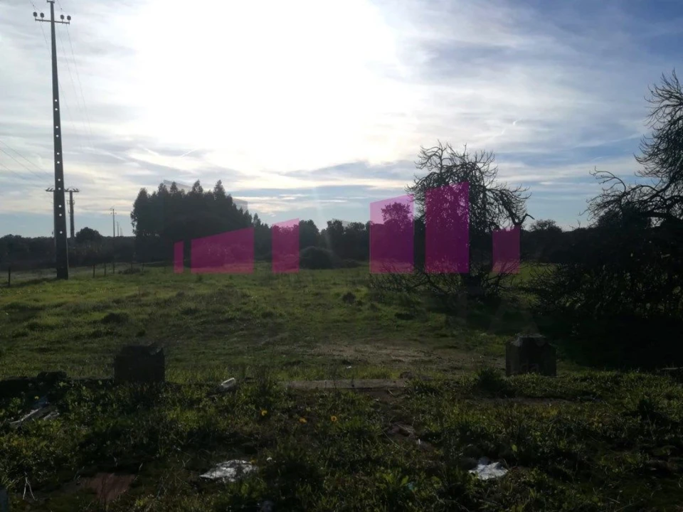 Terreno Agricola ou Rústico para Venda em Belazaima do Chão, Castanheira do Vouga e Agadão Foto 17
