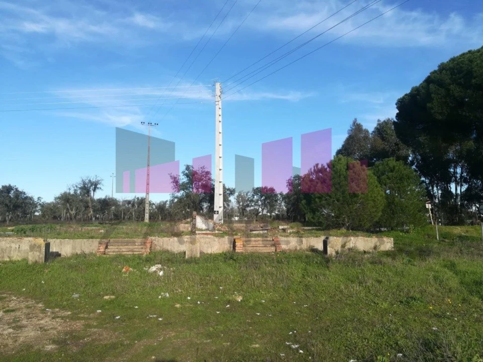 Terreno Agricola ou Rústico para Venda em Belazaima do Chão, Castanheira do Vouga e Agadão Foto 19