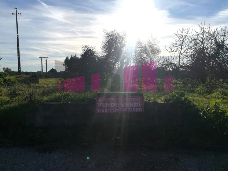 Terreno Agricola ou Rústico para Venda em Belazaima do Chão, Castanheira do Vouga e Agadão Foto 20
