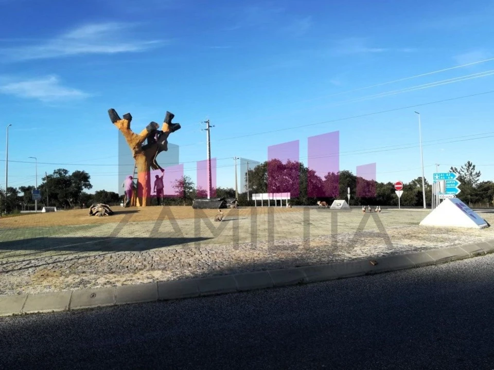 Terreno Agricola ou Rústico para Venda em Belazaima do Chão, Castanheira do Vouga e Agadão Foto 3